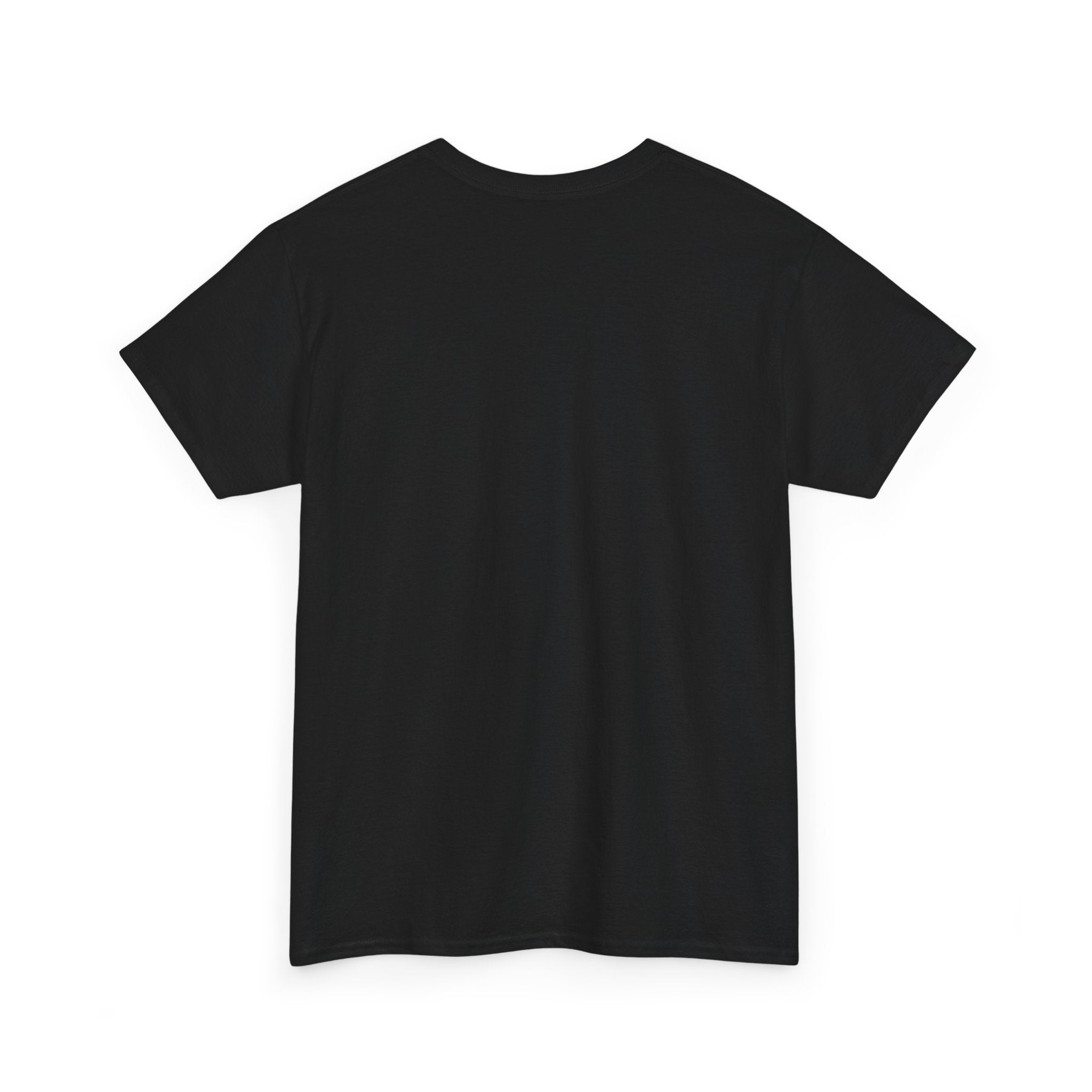 If You Can't Run With The Big Dogs Stay On The Porch Graphic Tee